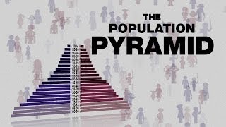 可对未来进行预测的人口金字塔模型