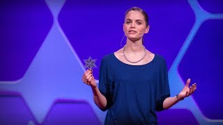 可印刷且有弹性的有机太阳能电池