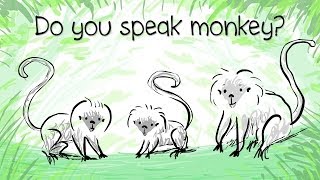 一探棉顶狨猴的语言