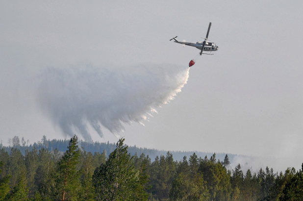 高温下瑞典森林大火持续蔓延