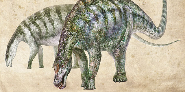 China has discovered a new dinosaur.jpg