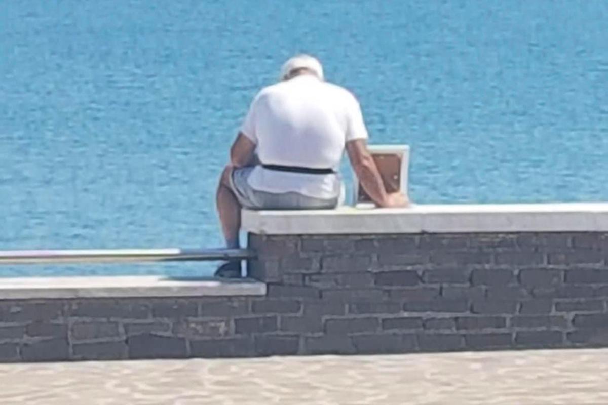 美国一老人每天带已故妻子的照片去看海