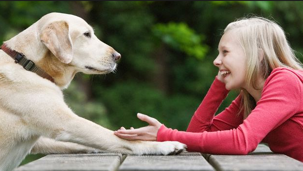 In 10 years, AI technology may be able to achieve dialogue between humans and pet dogs.jpg