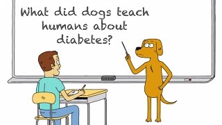 关于糖尿病 狗教会人类什么