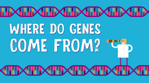 基因是从何而来的?