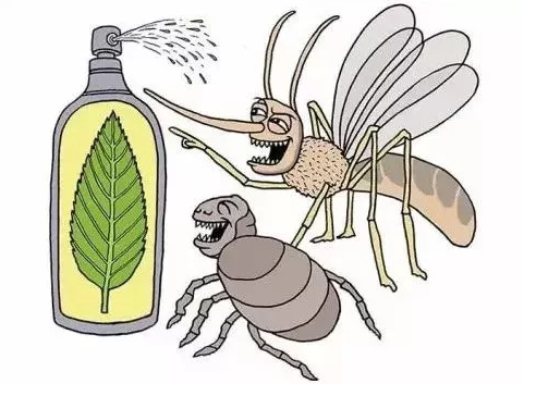 Stunned! None of the 50 mosquito repellent products are effective.jpg