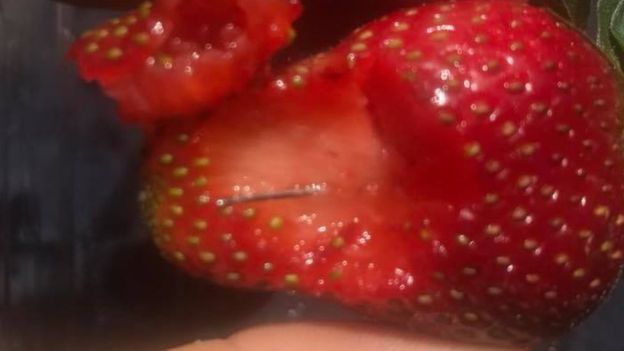 Strawberry needles have been issued in a row. Many people in Australia have been recruited.jpg