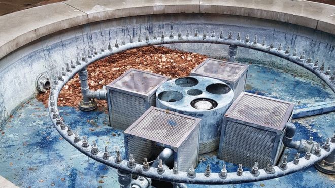 The result of putting 100,000 coins in a British fountain to test humanity was stolen in one day! .jpg