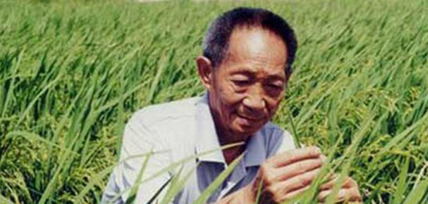 Tribute to "Father of Hybrid Rice" Yuan Longping.jpg