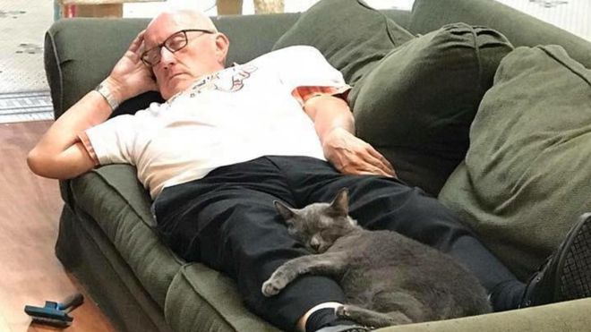 75岁老爷爷怀抱流浪猫小睡照片走红