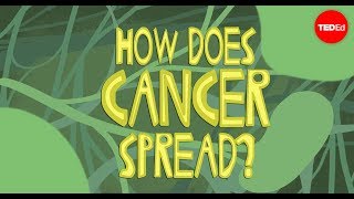 癌症是如何在体内传播的