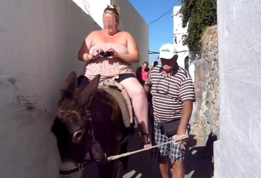 Greek legislation prohibits obese tourists from riding donkeys.jpg