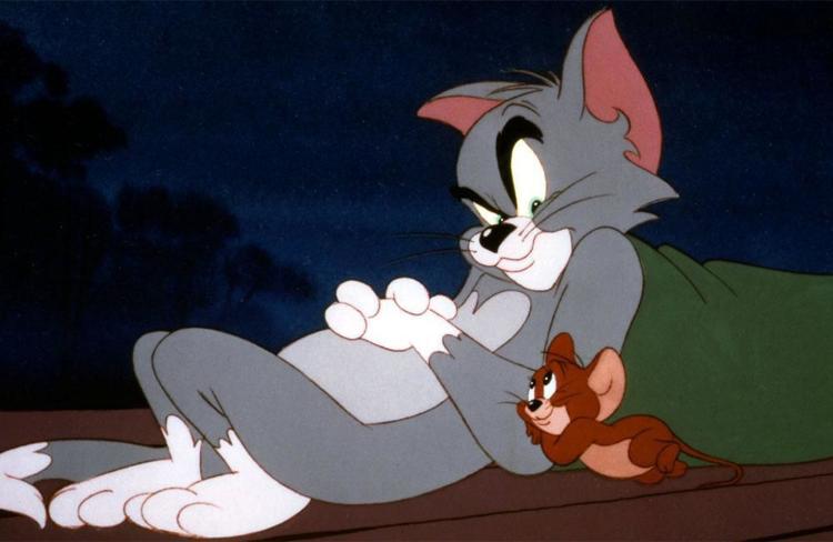 Remember the childhood Tom and Jerry? "Cat and Mouse" live-action filming is about to start.jpg