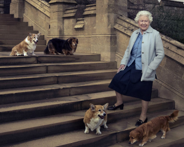 The last Corgi of the Queen of England passed away .jpg