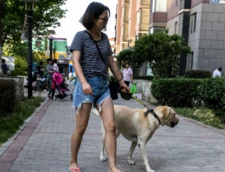 养犬也用积分制 济南规范养犬初见成效.jpg