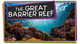 great barrier reef.jpg