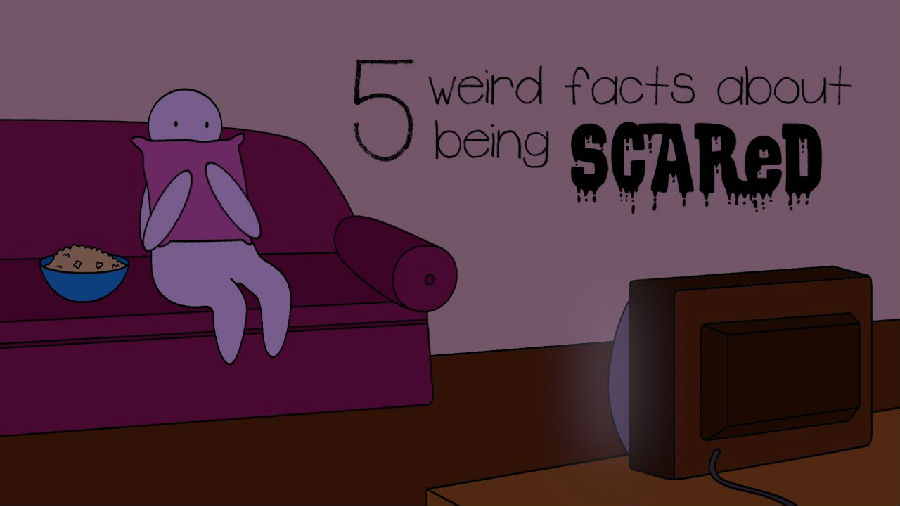 关于恐惧的5点有趣真相.jpg