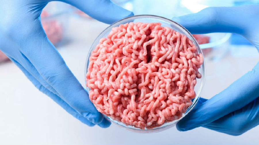 Laboratory-grown meat will enter the U.S. market in the future.jpg