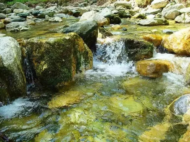 a stream