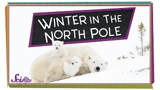 north pole.jpg