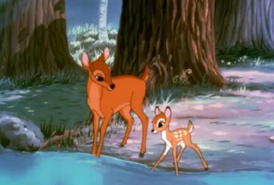 Poachers are fined to watch "Bambi"? Have you heard of a more peculiar punishment than this? .jpg