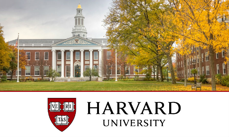 哈佛的学生到底比你强在哪