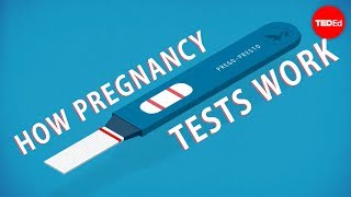 怀孕检测的原理是什么?
