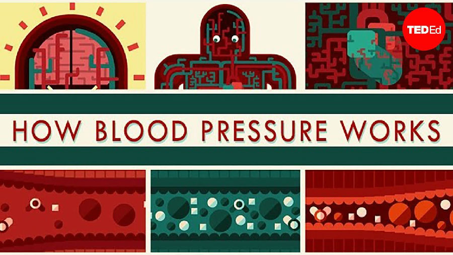 血压是如何工作的