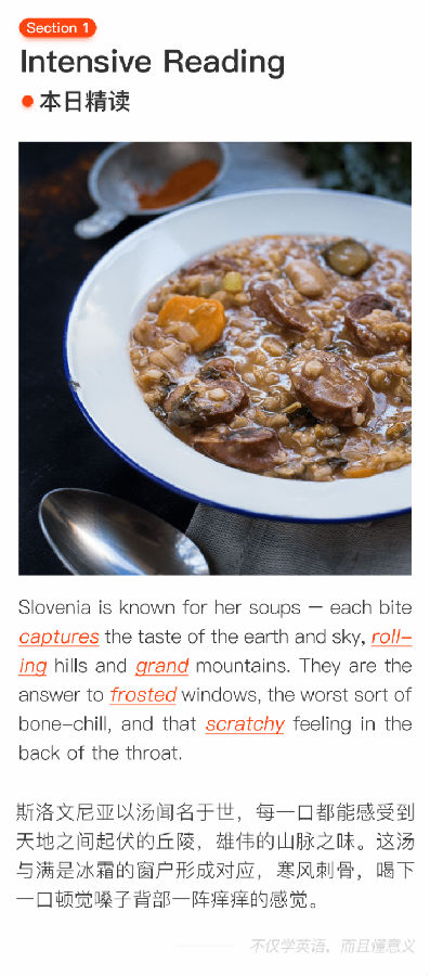 第167期 斯洛文尼亚靓汤