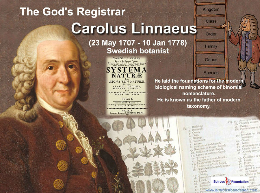 Carolus Linnaeus