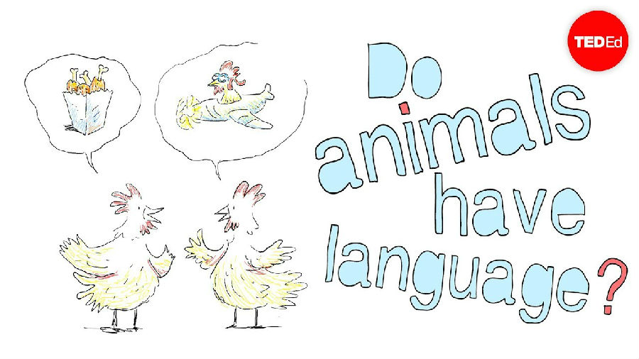 动物们都有语言吗