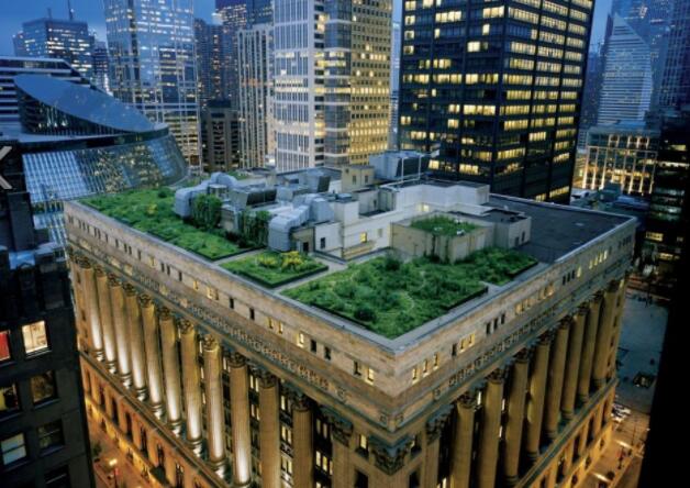 屋顶花园：造福人类与环境.jpg