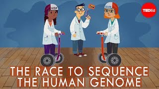 人类基因组测序的竞赛