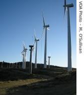 Wind turbines in California
