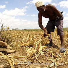 VOA慢速新闻讲解附字幕:发展中国家的粮食安