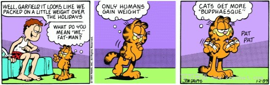 garfield: only humans gain weight garfield: cats get more
