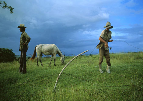 古巴的农民,古巴,1999