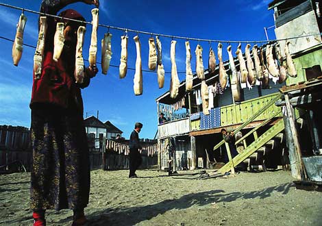 干鲟鱼,土库曼斯坦,1999