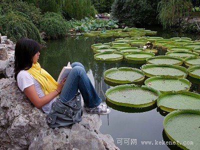 星座英语:十二星座都爱看什么类型的书呢?