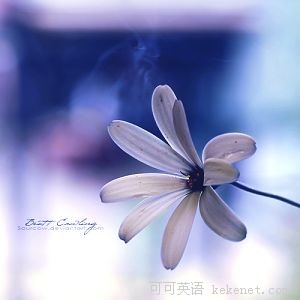 音乐咖啡厅:清纯至极<em>女声</em>MYMP(Say That <em>You</em>