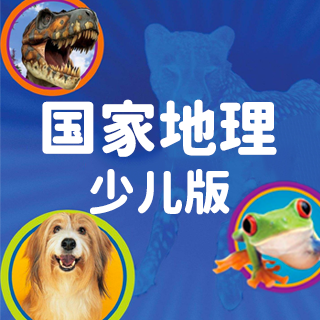 第268期:各式各样的飞机