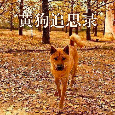 04 同是天涯沦落人（下）