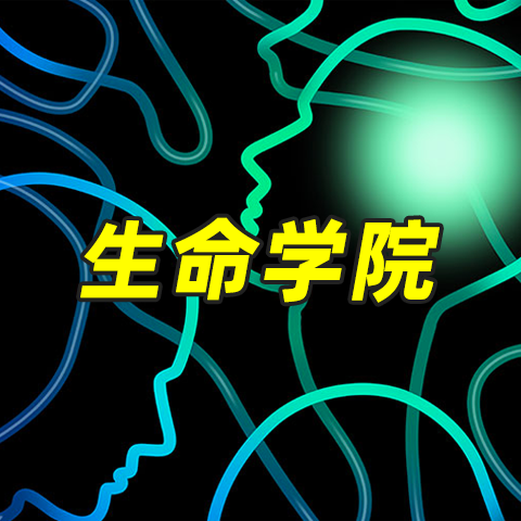 单身的重要性(上)