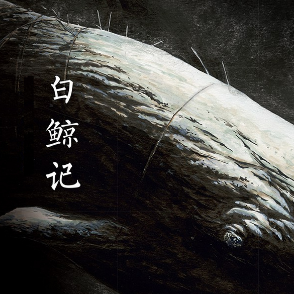 白鲸记 第1048期