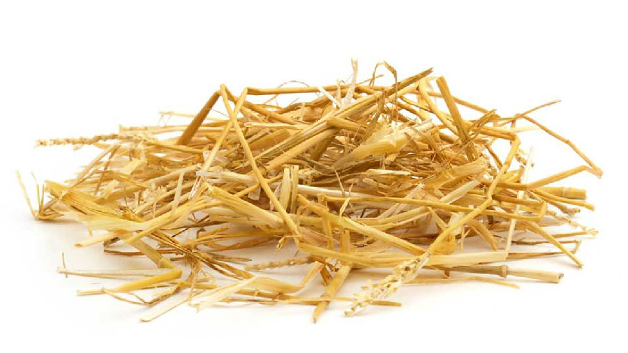 the english we speak(bbc教学)第293期:the last