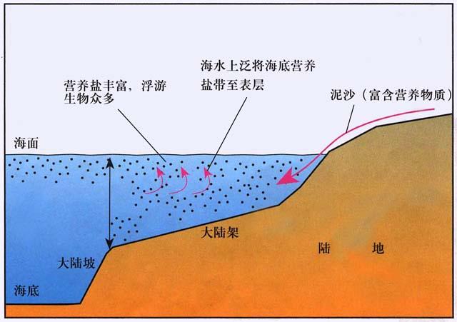 五种海底地形剖面图图片