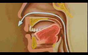 舌根抬起抵住软腭图图片