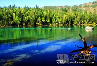 2011101209430243.jpg